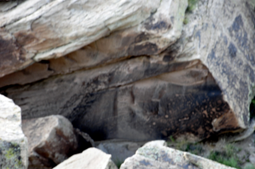 Petroglyphs at Newspaper Rock